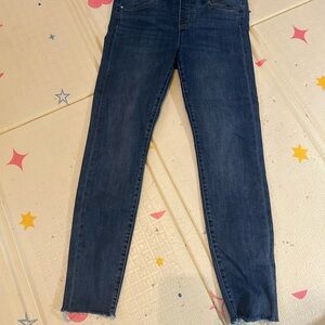 Liverpool Indigo Skinny Jeans
